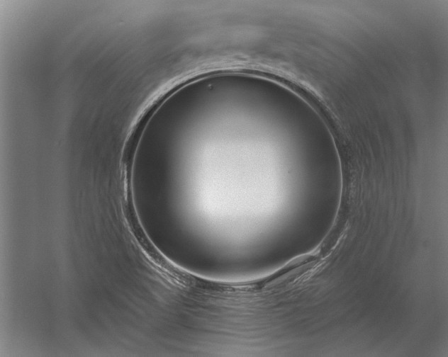 X0000056371509200509091635