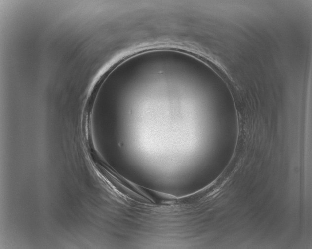 X0000056371510200509091635