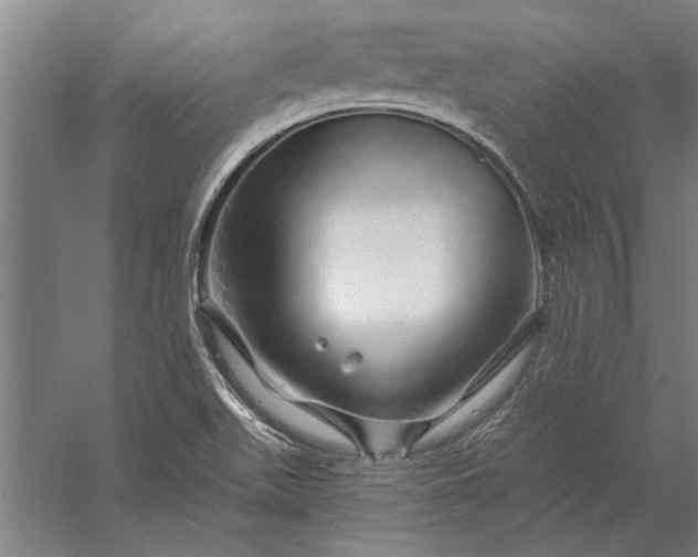 X0000056371511200509091635