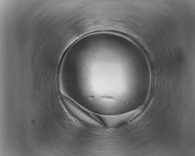 X0000056371513200509091635