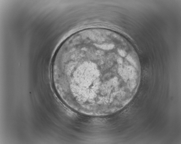 X0000056371514200509091635