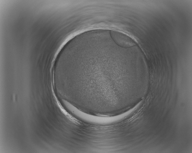 X0000056371515200509091635