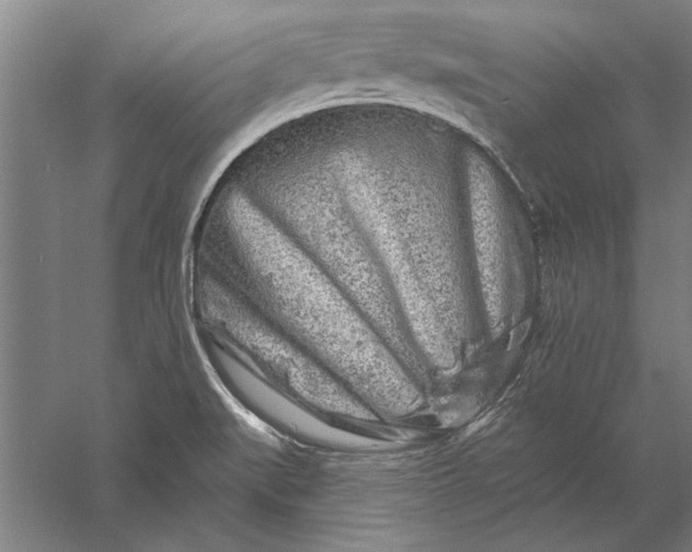 X0000056371519200509091635