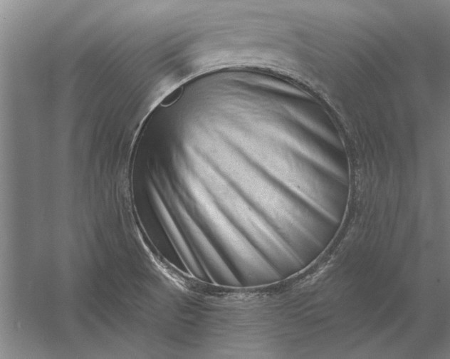 X0000056371521200509091635