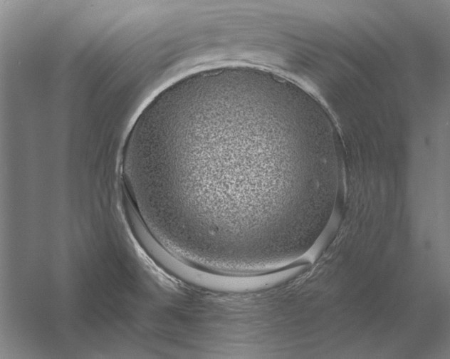 X0000056371524200509091635