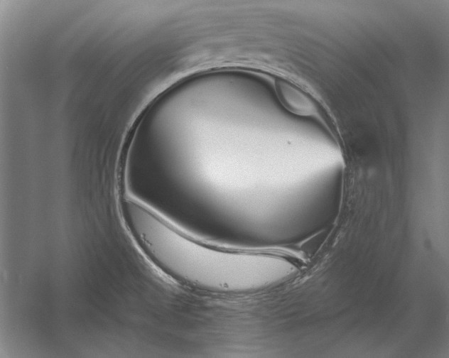 X0000056371525200509091635