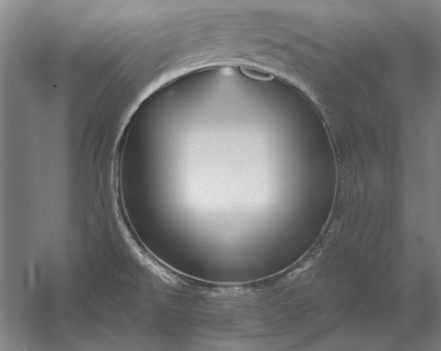 X0000056371526200509091635