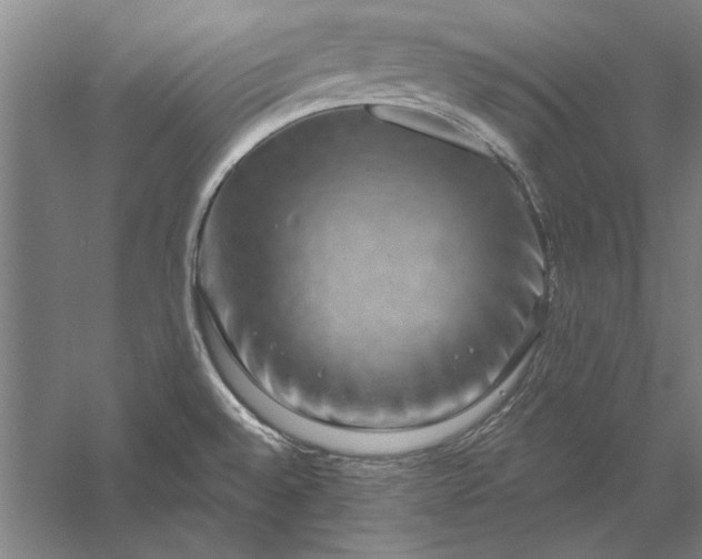 X0000056371528200509091635