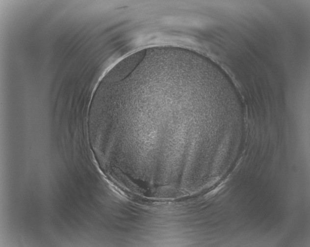 X0000056371529200509091635