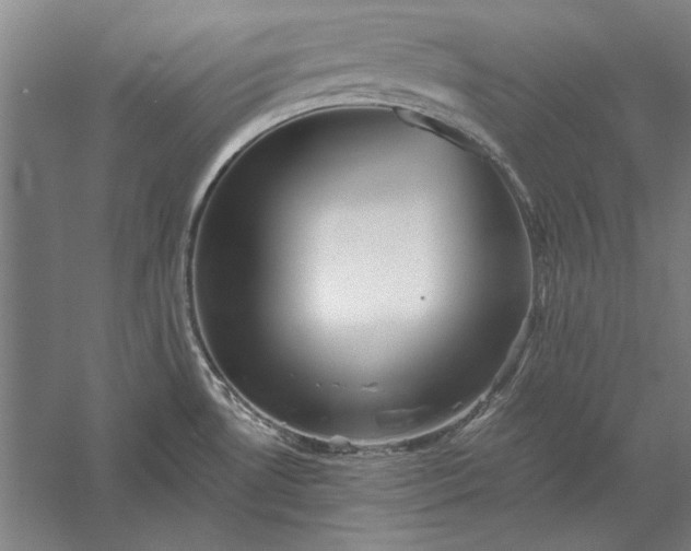 X0000056371530200509091635