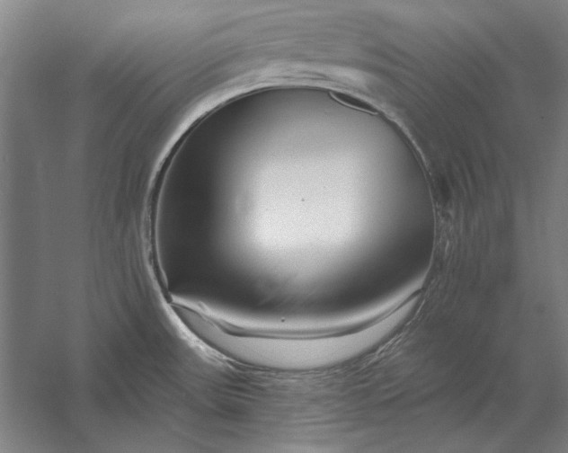 X0000056371531200509091635