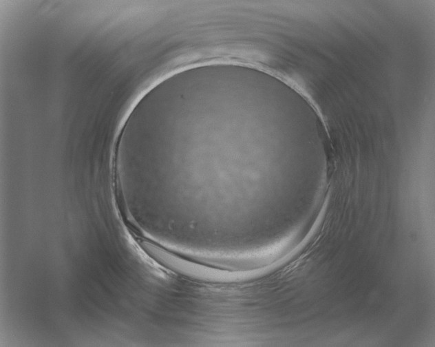 X0000056371532200509091636