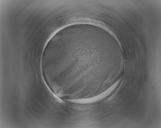 X0000056371533200509091636