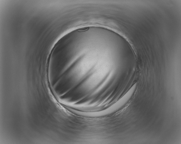 X0000056371534200509091636