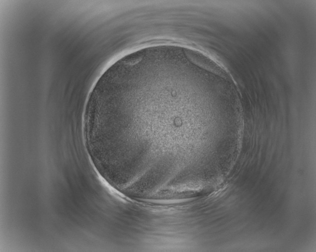 X0000056371535200509091636