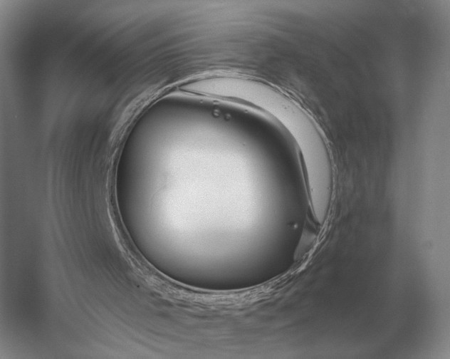 X0000056370001200509161906