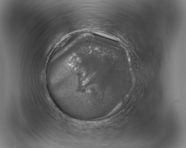 X0000056370002200509161906