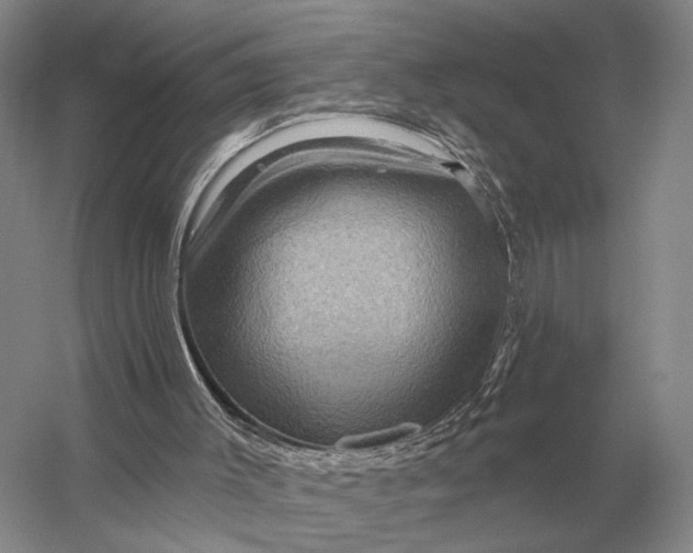 X0000056370003200509161906