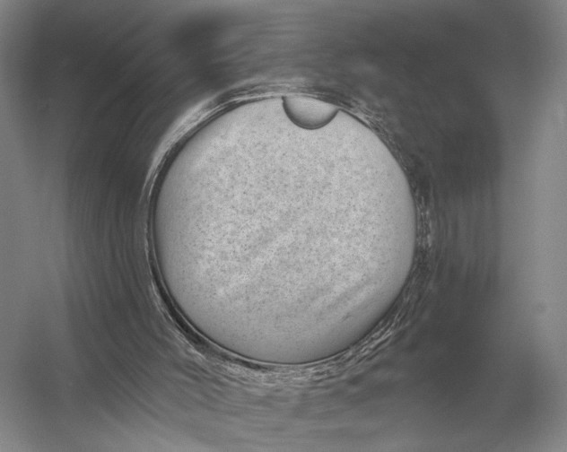 X0000056370004200509161906