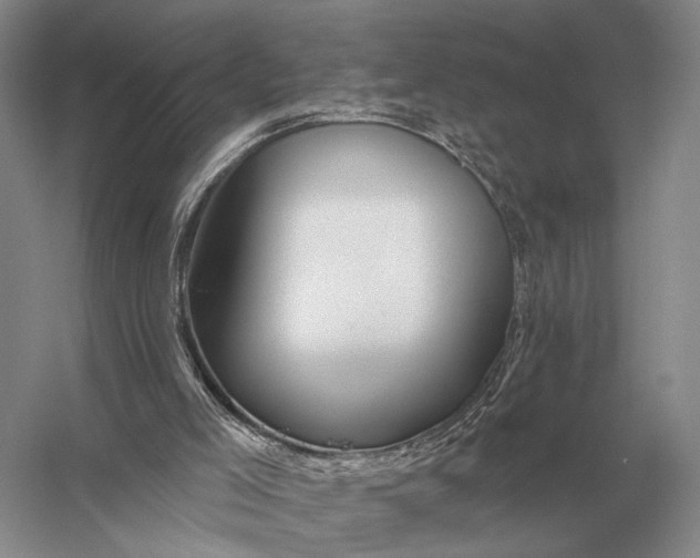 X0000056370005200509161906