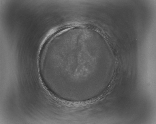 X0000056370006200509161906