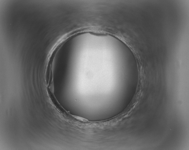 X0000056370007200509161906