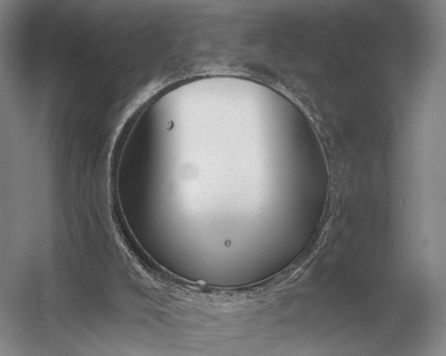 X0000056370008200509161906