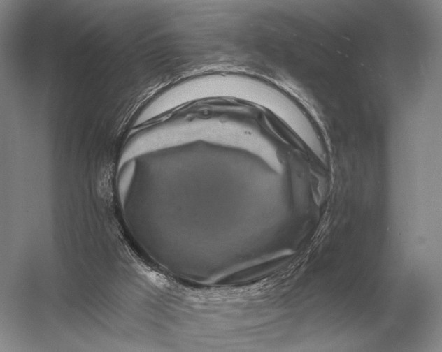 X0000056370009200509161906