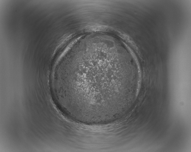 X0000056370010200509161906