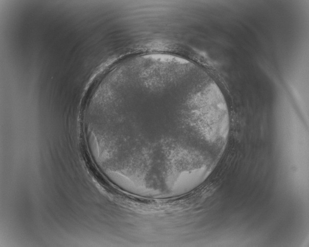 X0000056370012200509161906