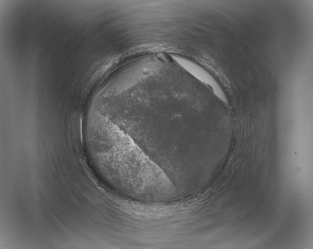 X0000056370014200509161906