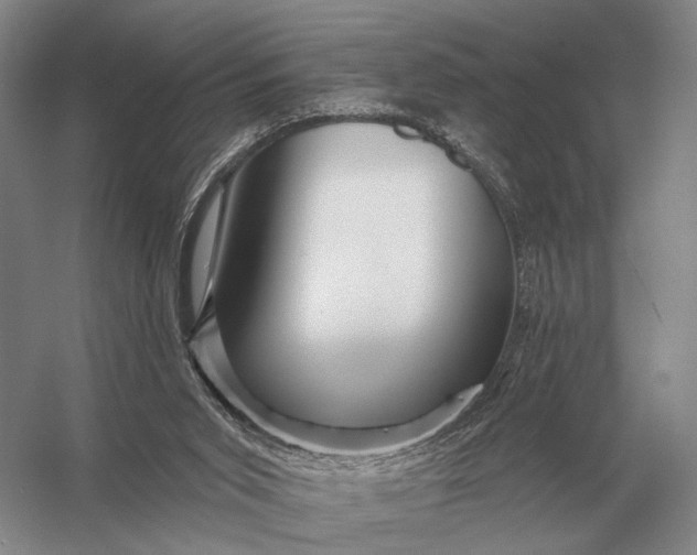 X0000056370015200509161906