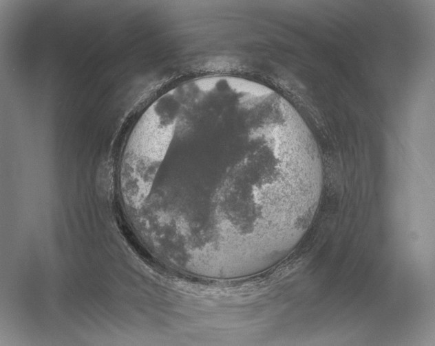 X0000056370016200509161906