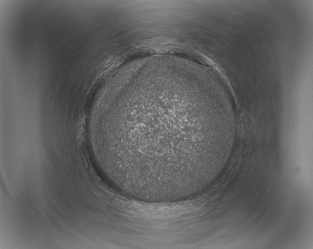 X0000056370018200509161906