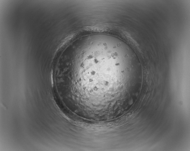 X0000056370020200509161906