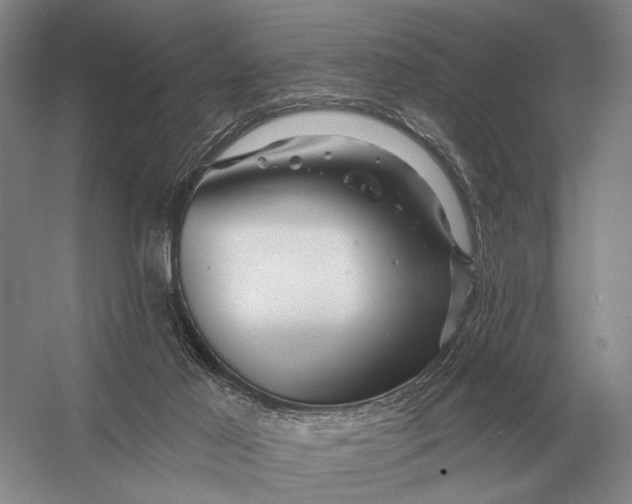 X0000056370021200509161906