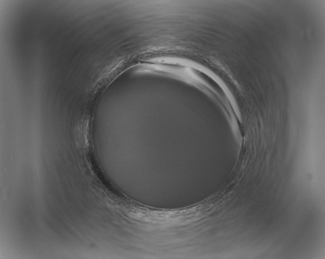 X0000056370023200509161906