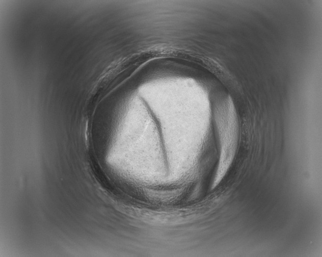 X0000056370024200509161906