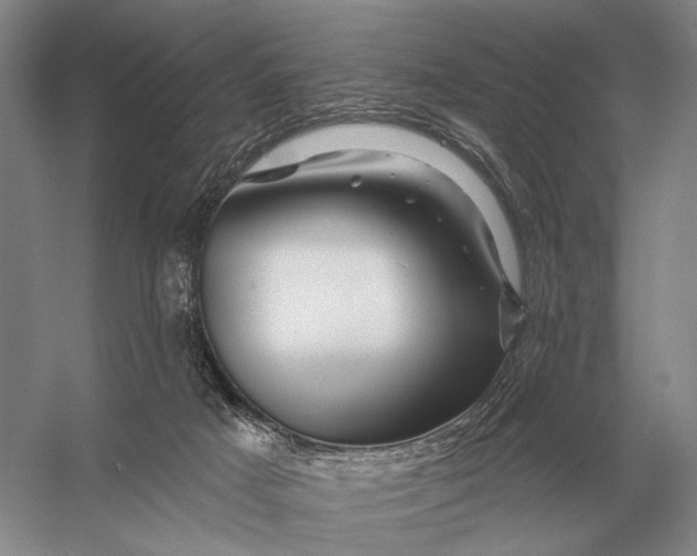 X0000056370025200509161906