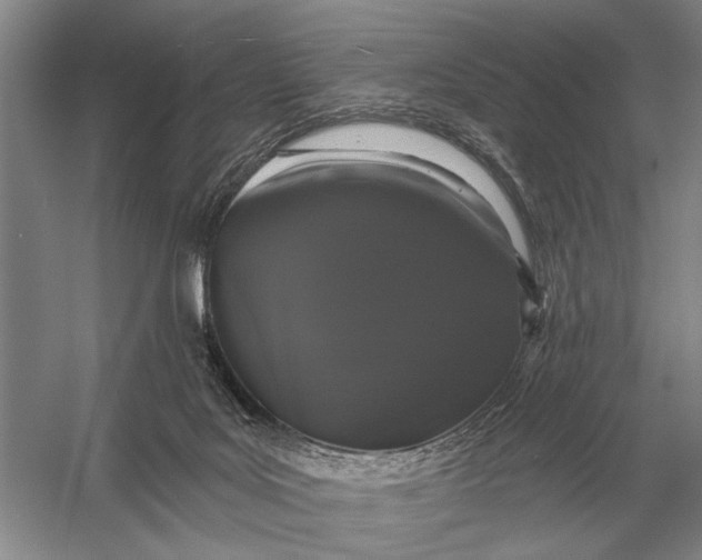 X0000056370027200509161906