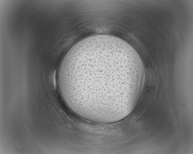 X0000056370028200509161906