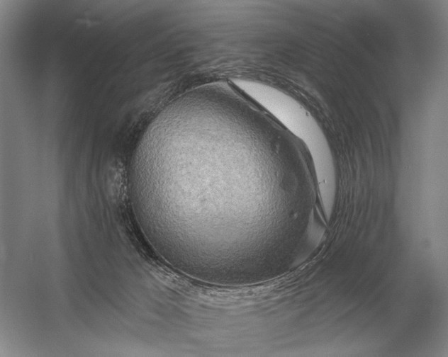 X0000056370029200509161906