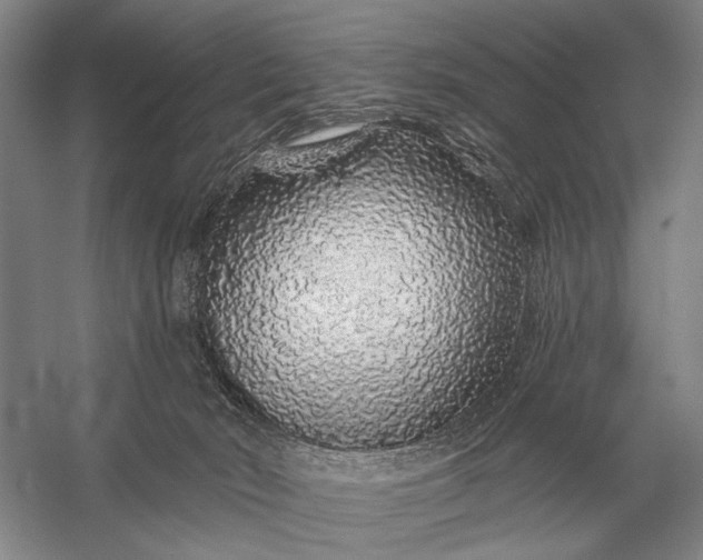 X0000056370030200509161906