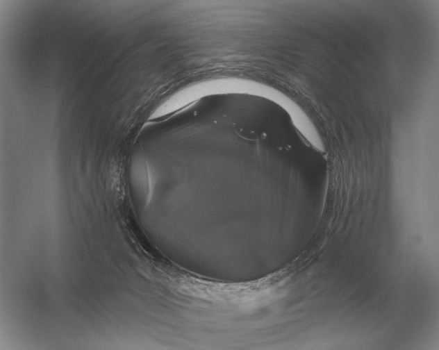 X0000056370031200509161906