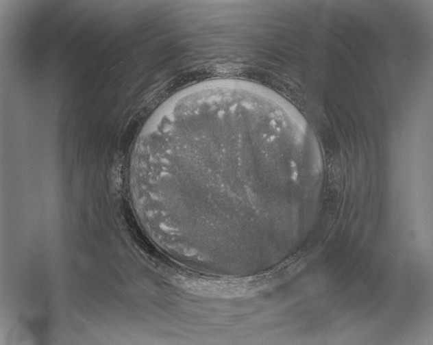 X0000056370032200509161906