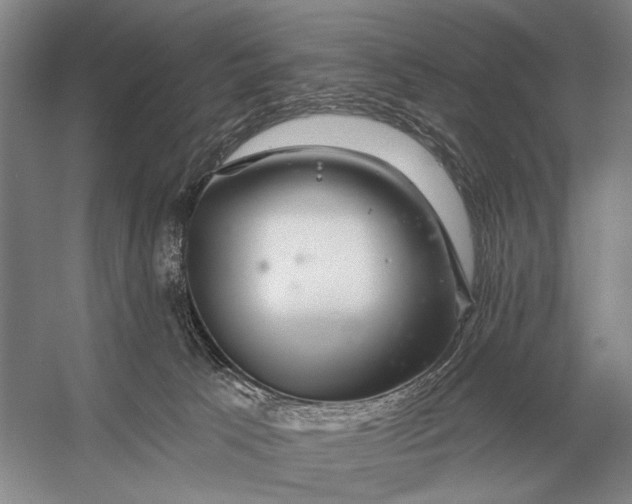 X0000056370033200509161906