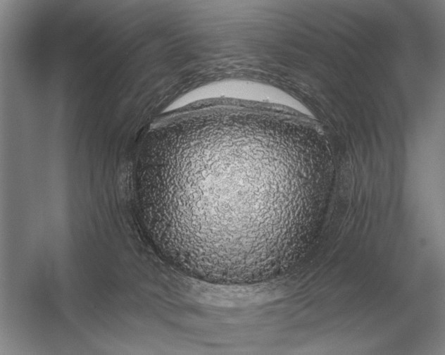 X0000056370034200509161906