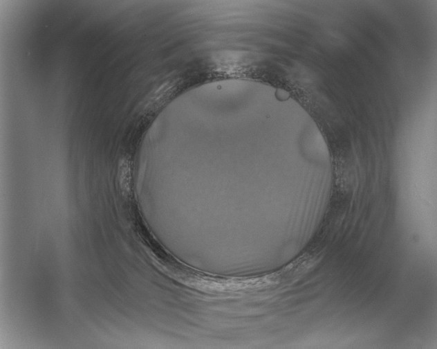 X0000056370036200509161906