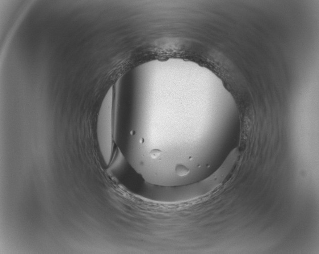 X0000056370037200509161906