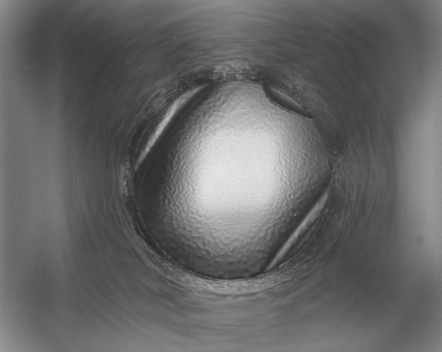 X0000056370038200509161906